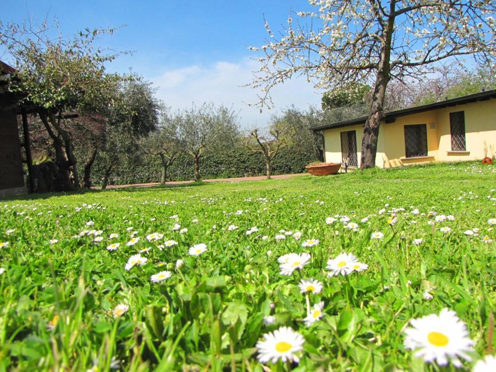 B&B Ai Glicini - Castelli Romani Marino Exterior foto