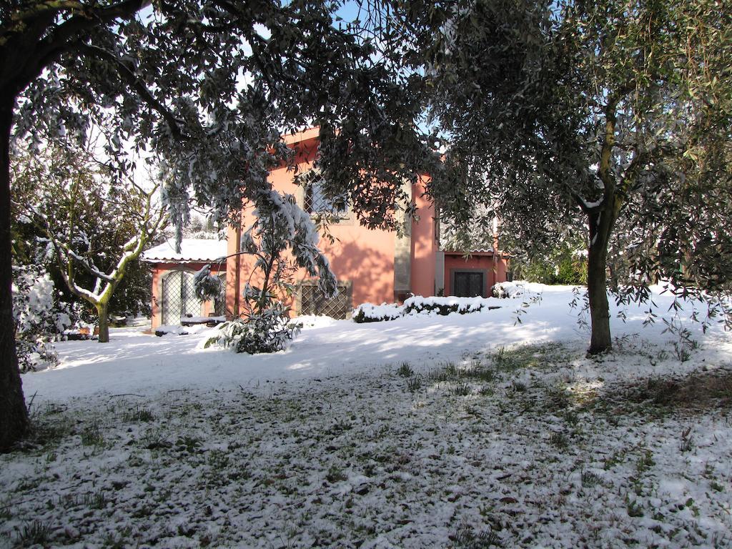 B&B Ai Glicini - Castelli Romani Marino Exterior foto